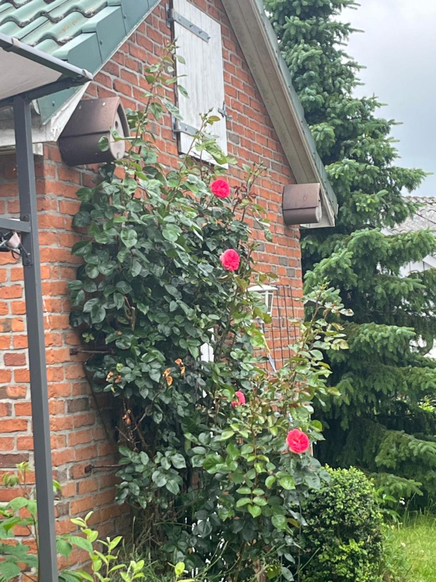 Gartenzimmer Zwischen Den Meeren Ladelund Экстерьер фото